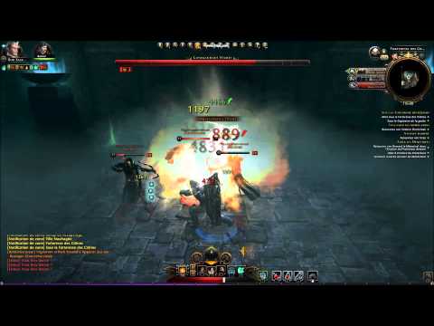 Neverwinter Paladin Boss Fight