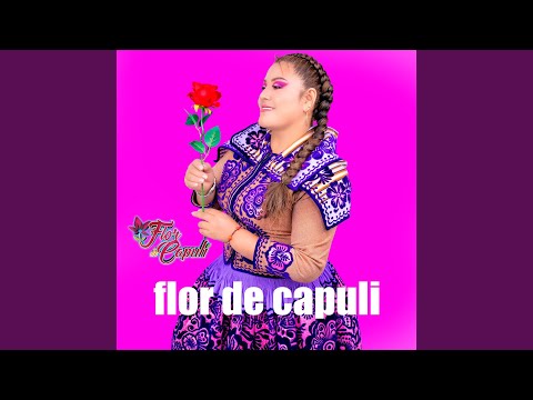 Quello Langosta - Flor De Capuli Huaylia