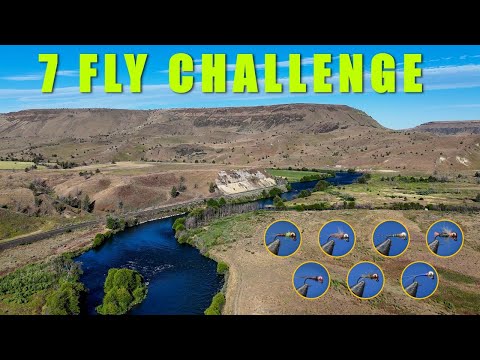 Trout Can't Resist These 7 Flies || Euro Nymphing for Wild Rainbows