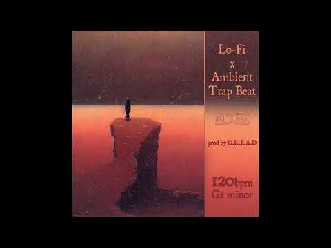 [FREE] "EDGE" - ATMOSPHERIC x Lo-Fi TRAP TYPE BEAT | INSTRU TRAP FREESTYLE | Prod. DREADLORD