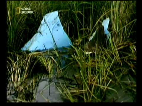 sekunden vor dem unglück -  crash in den Everglades Teil 3