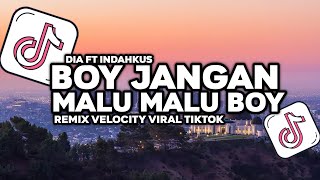 Download lagu DJ BOY JANGAN MALU MALU BOY KAMU ITU LUCU BOY REMIX VELOCITY VIRAL DI TIKTOK!! mp3