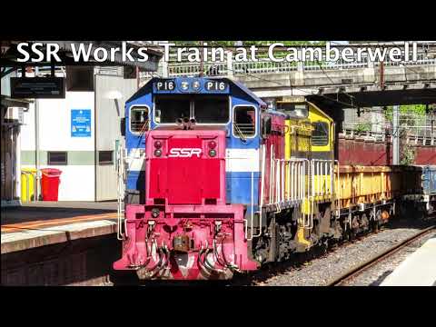 SSR Works train on the Lilydale Line! | SSR P14-T386-T363-P16 at Camberwell.