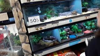 Petco animal tour