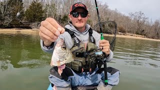 Crappie for Catfish Bait???