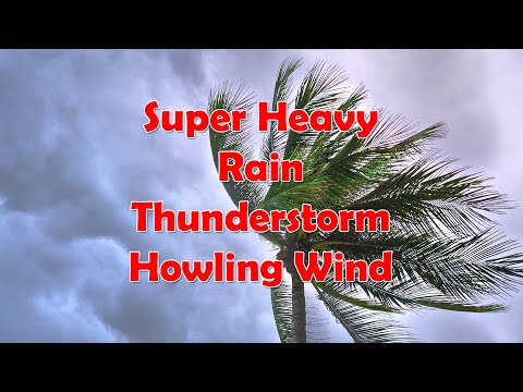 Super Heavy Thunderstorm, howling wind, and heavy Rain sounds
