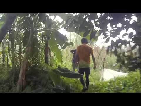 BogorHHH #2047 Tastes Like Heaven, Smells Like Hell Run