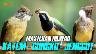 Download lagu MASTERAN KAPAS TEMBAK - CUCAK CUNGKO - CUCAK JENGGOT mp3