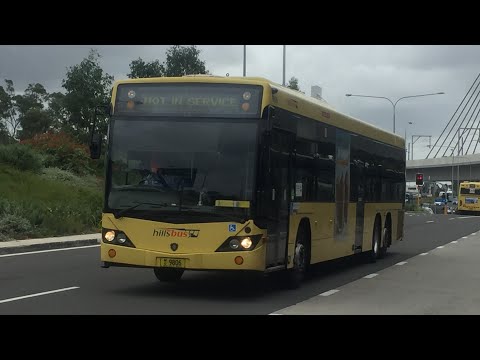 CDC Hillsbus: Scania K280UB 14.5m (ZF Ecomat) / Custom Coaches CB60 Evo II, m/o 9806
