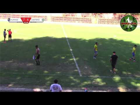 TERCER Y CUARTO LUGAR | PLATENSE VS UNIÓN ESTERO | SERIE HONOR