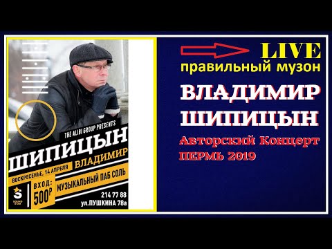 Владимир Шипицын - Концерт в Перми (LIVE) 2019