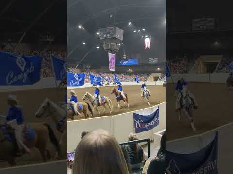 fantasia 2023 equine affair