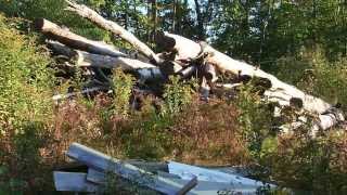 preview picture of video 'Time-lapse of woodpile in New Hampshire'