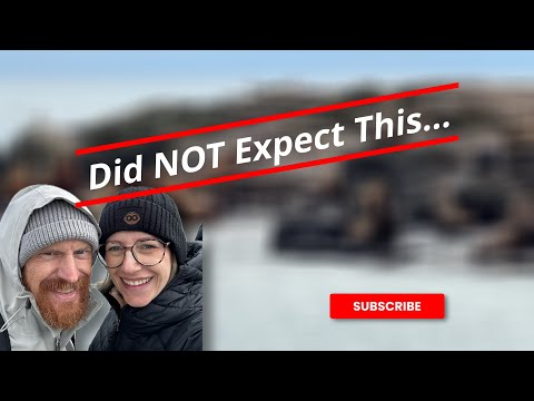 Day 7 in Victoria | Whale Watching, Sea Otters, Fisherman’s Wharf & Our Last Night Onboard!