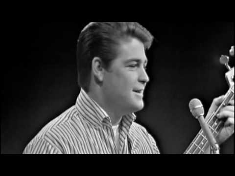 The Last Song By Brian Wilson Music Video | A Tribute to The Beach Boys