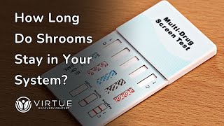 How Long Do Shrooms Stay in Your System