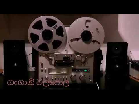 ඉරණමට සැවොම ගැතිවේවි  ලතා වල්පොල සමඟ අමිත්  වල්පොල