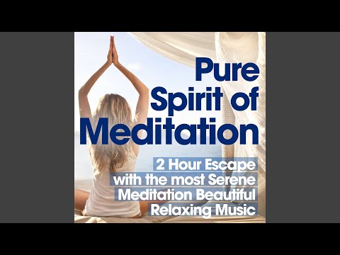 Pure Spirit of Meditation
