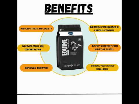 Equine Calming Powder-Aniamor-Equine Feed supplement-500g
