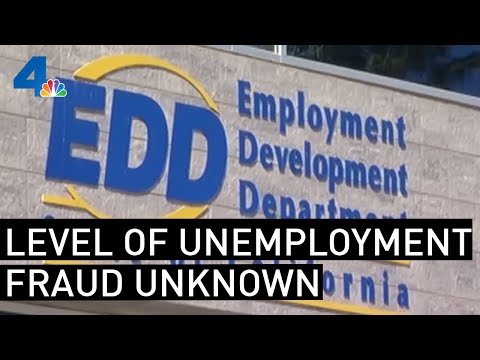 Lawmakers Investigating Level of California Unemployment Insurance Fraud | NBCLA Video