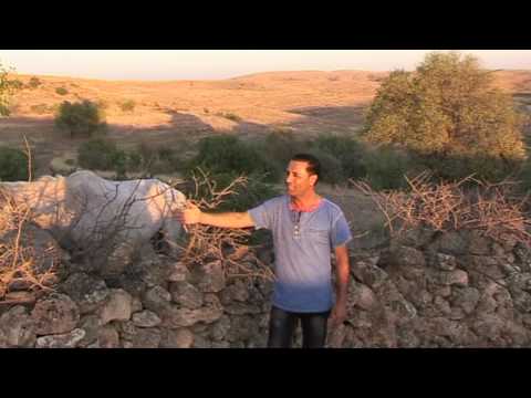 Indravuz Bagandi - Orness -Musik Clip-