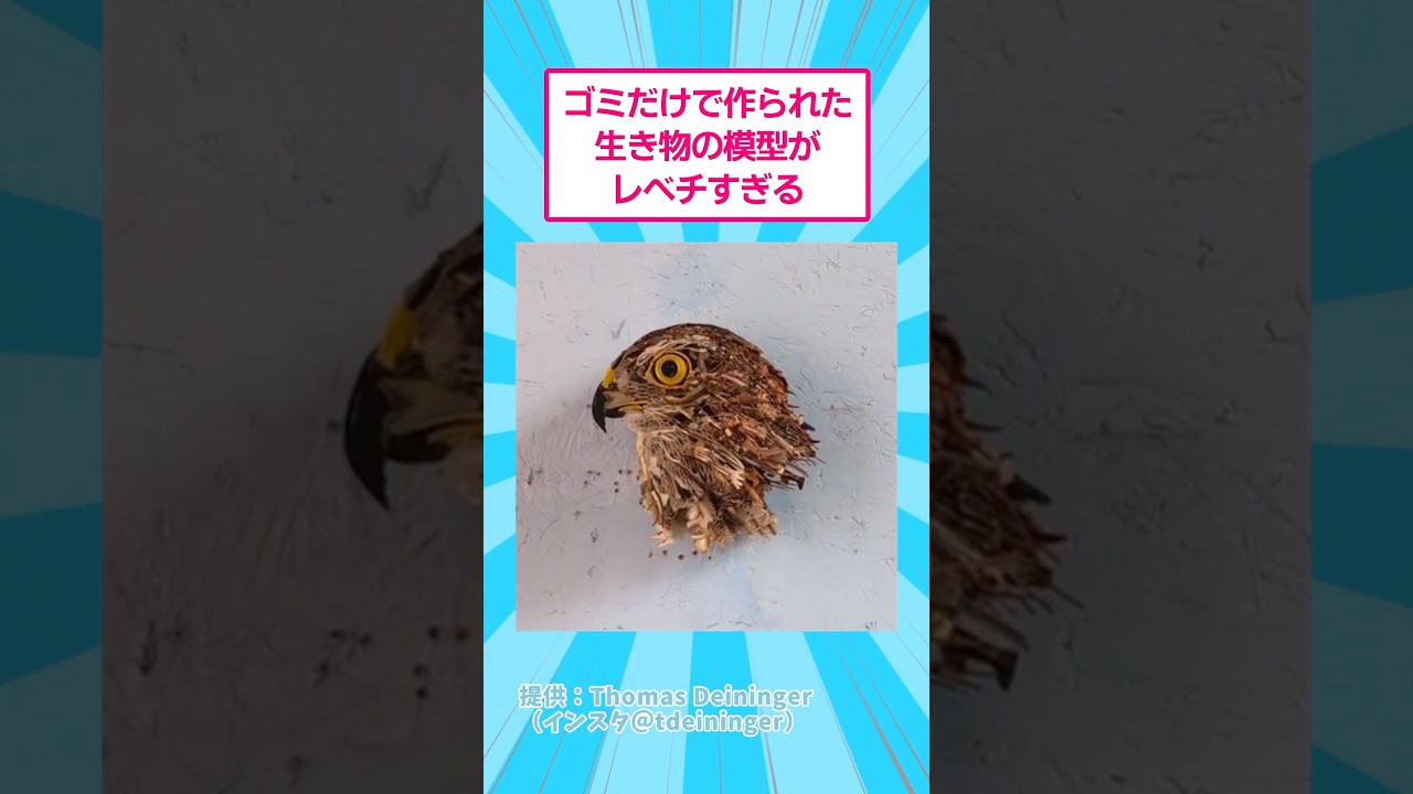 ゴミだけで作られた生き物の模型がレベチすぎる #おもしろ #アート