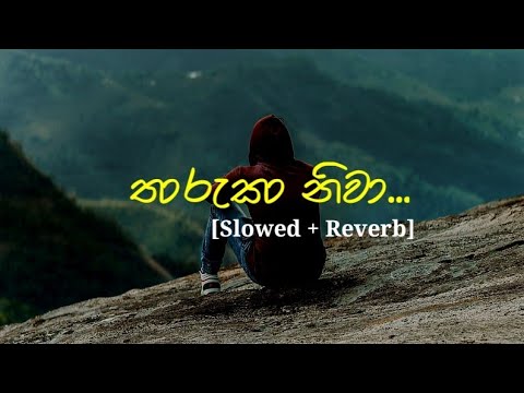 Tharuka niwa(තාරුකා නිවා) | [Slowed + Reverb] | Gaurawa lahiru |