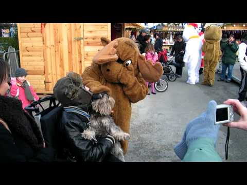 Rodolphe se fait attaqué par une grosse bête féroce 21 dec quiberon