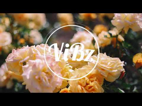 DJ ViBz x Richard Cavé - Demysione (KOMPA REMIX)