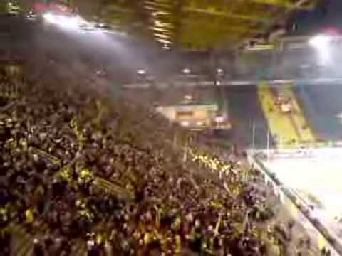 BVB - Signal Iduna Park 1
