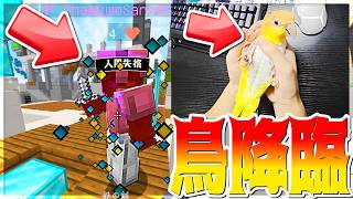 【Minecraft】鳥に邪魔されベッドウォーズ？？？？