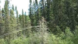 "Spring Hole" Brook Trout Fishing