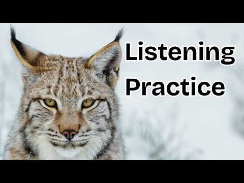 Canadian Animals – English Listening Practice with Wildlife Facts