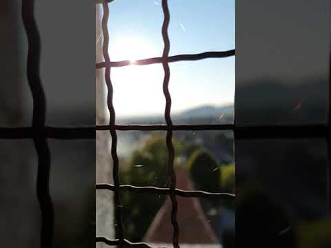 Biserica Evanghelică Fortificată ~ Evangelical Fortified Church ☆ Hărman (BV), Transilvania, Romania