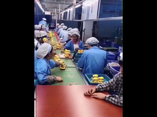 Проверка качества изделий на заводе