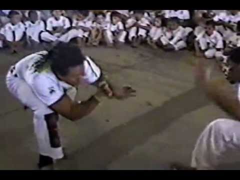 mestre charm,tucano preto,peixe cru e gibi