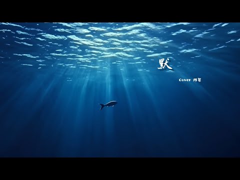 Silence（默） ——  Hangzhou Youth Choir