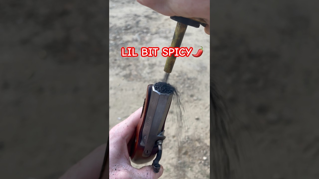 Black Powder Derringer with extra sauce  #blackpowder #gun