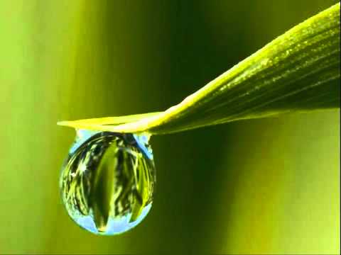 karen song tee poe ter law saw (Mr.chally)