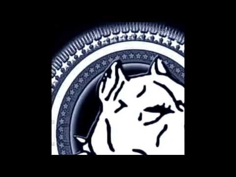 Cash Hound Rico- Business Card Video