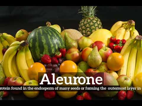 What is Aleurone? | How to Say Aleurone in English? | How Does Aleurone Look?