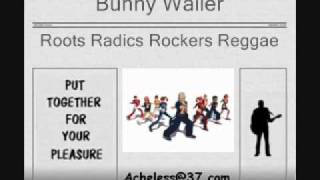 Bunny Wailer - Roots Radics Rockers Reggae