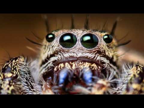 Sasha & Mike Koglin - Enjoy The Gravy (James Zabiela's Totally Turntabled Mix)