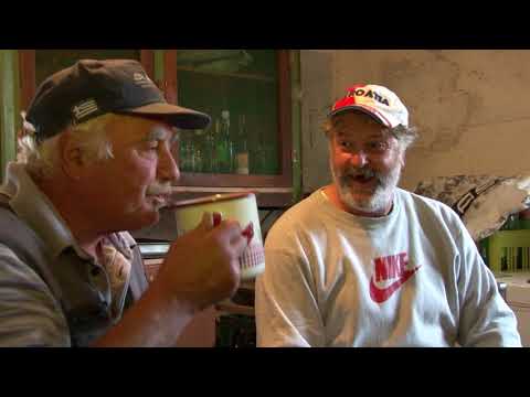 MLADO VINO - Zlato OdZadra