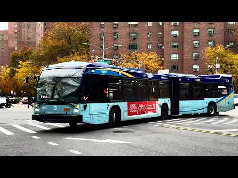 M23 Bus