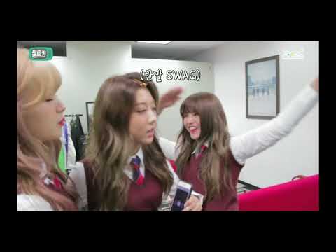 CLC video reel (fan made/me for Cheshires)