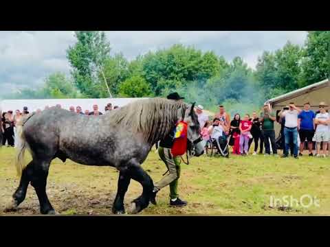 FESTIVALUL ECVESTRU BIXAD 2023 @PromovariCaiRomania