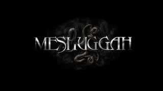 Meshuggah - Combustion (Lyrics Video)
