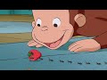 George Learns About Ants Curious George Animal Friends