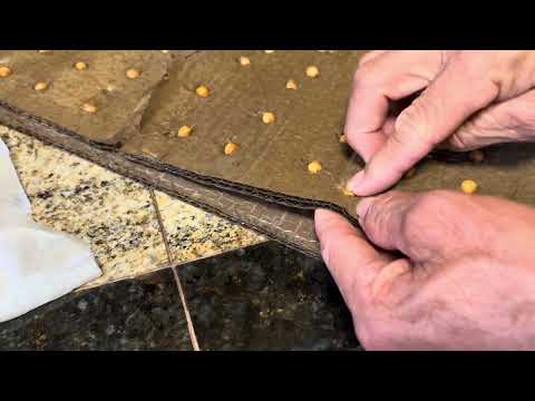 Germinación de semillas de cerezas